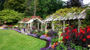 Stanley Park Rhododendron Garden