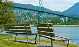 Donation park benches in Stanley Park with the Lions Gate Bridge in the background. 