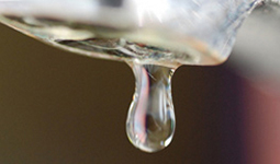Find out who to call to resolve problems with your water quality and water pressure.